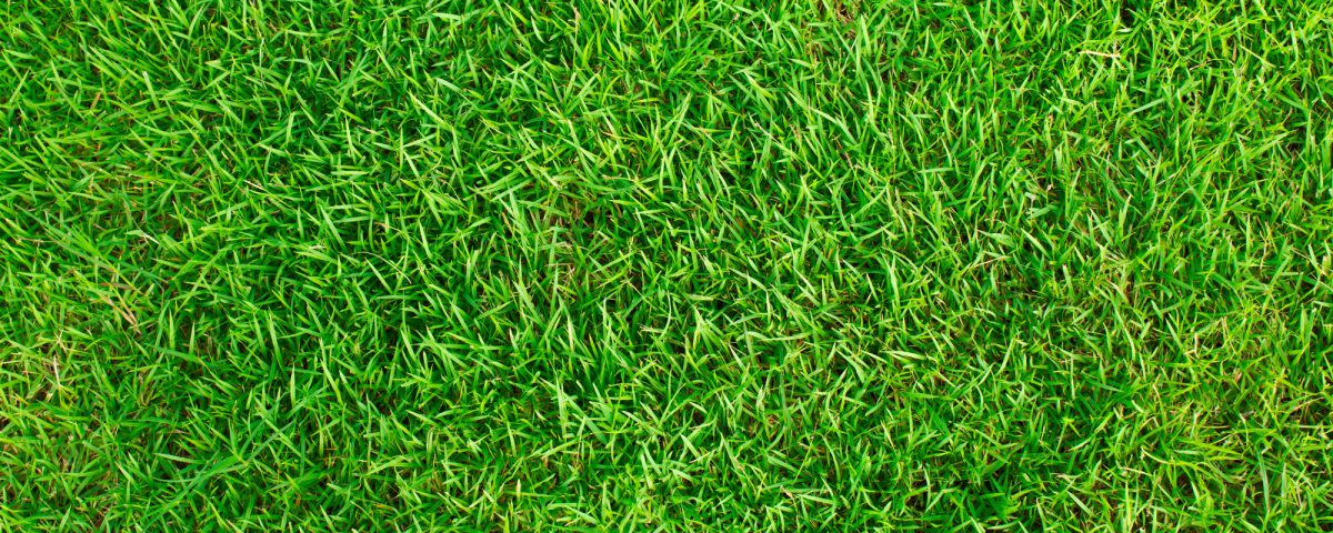 infinitygolf greens works