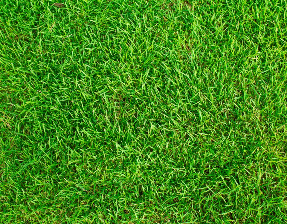 infinitygolf greens works